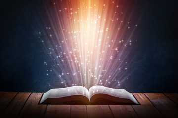 装载机最基本的保养！