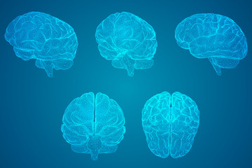 一批法律法规下月起施行！