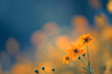 文言文中“因”的用法