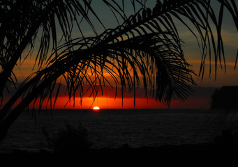 一批法律法规下月起施行！