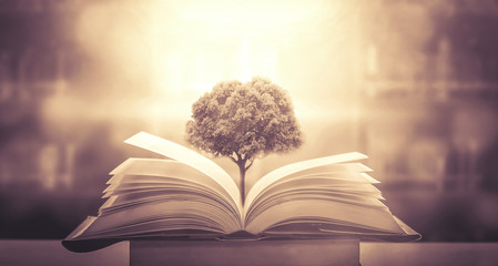 淘宝平台怕12315投诉吗