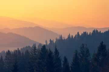 探探为什么匹配不到人