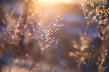 淘宝平台怕12315投诉吗