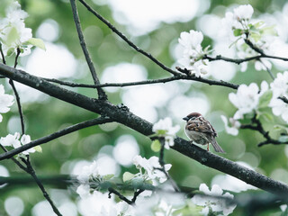 探探为什么匹配不到人