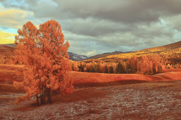 新机皇遭吐槽 三星GALAXY SIII另类解析