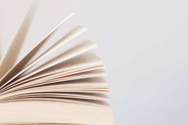 微尘什么意思？