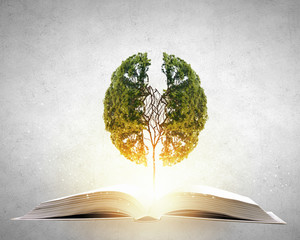 小对象生气了怎么哄