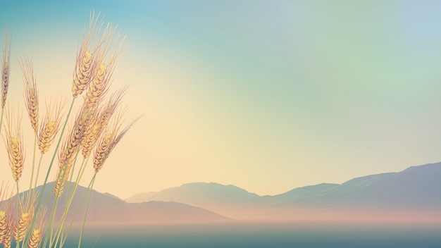 淘宝平台怕12315投诉吗