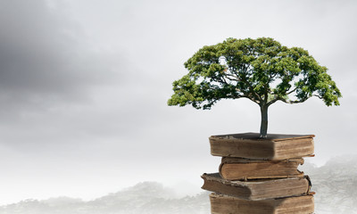 一批法律法规下月起施行！