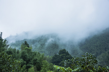 西咸新区管委会地址